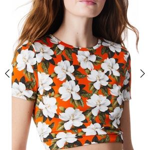 CINDY CLASSIC CROPPED TEE